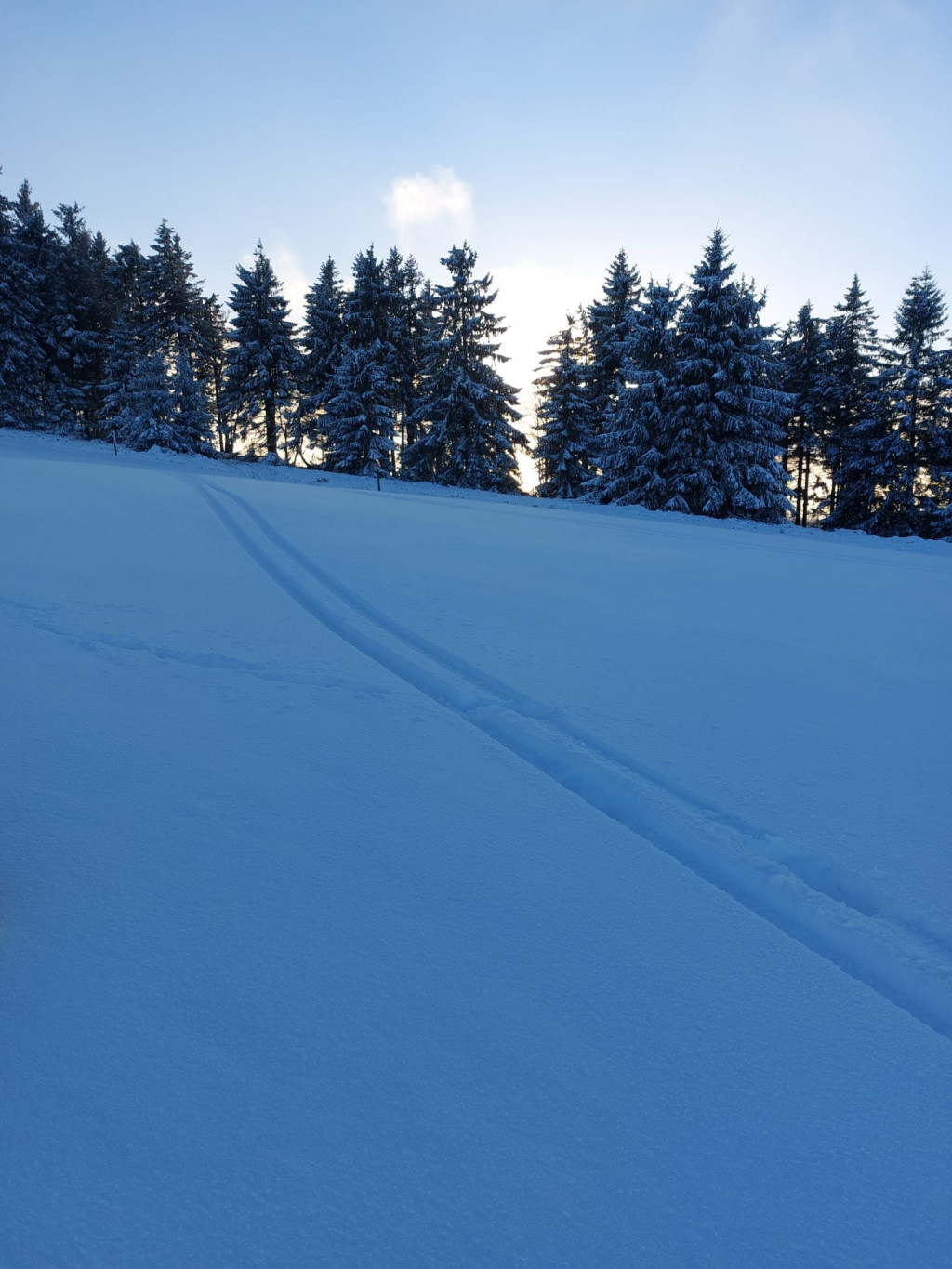 Tomte Tummetot in Winterberg (2)